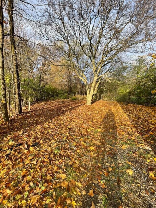 9167 Grandmont Ave, Detroit, MI 48228 - photo 5