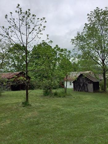 5955 Highway 1675, Somerset, KY 42501 - photo 4