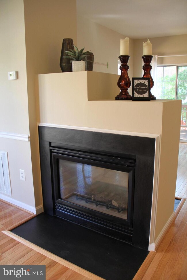 6001 Madison Overlook Ct, Falls Church, VA 22041 - photo 6