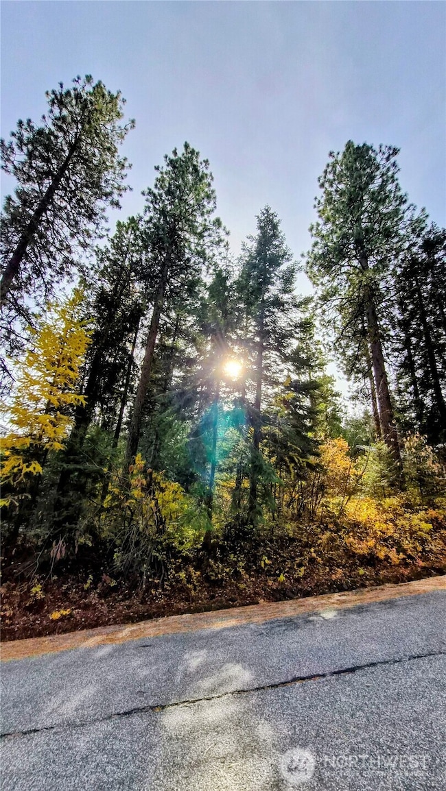 Lot View from the Street