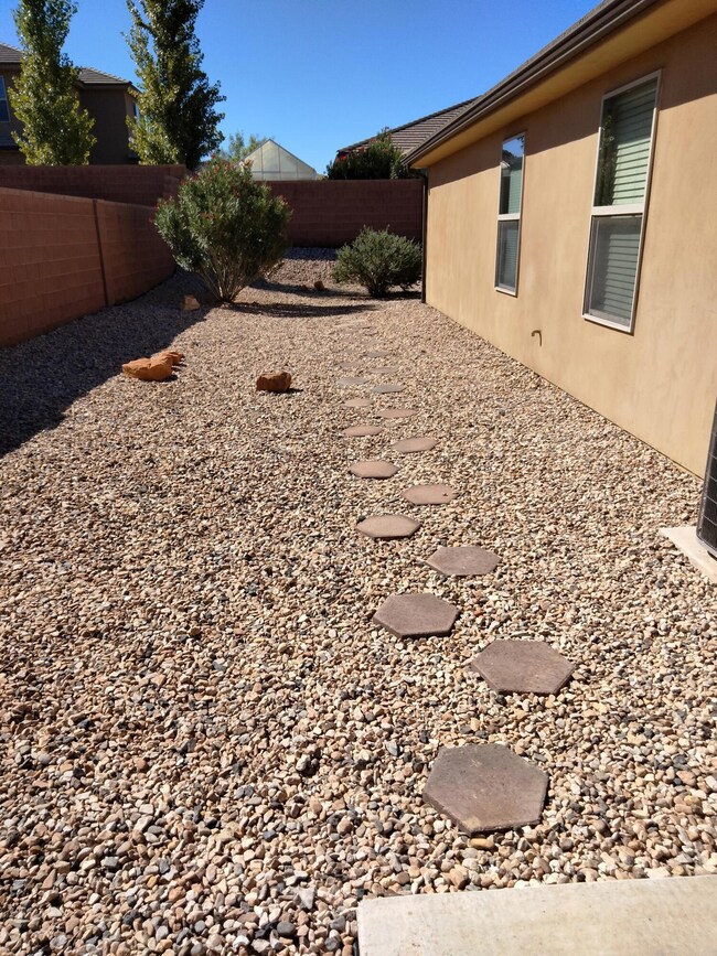Left Side Yard
