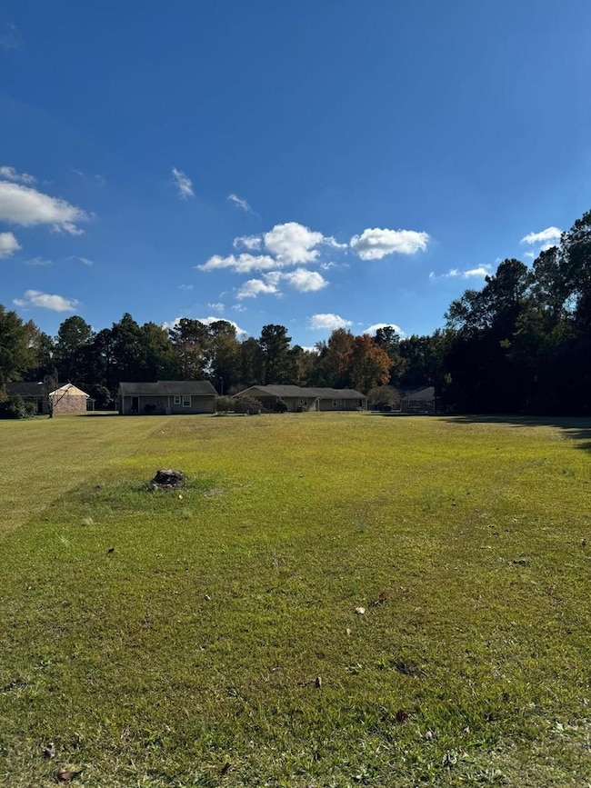 W Huggins St, Manning, SC 29102 - photo 6