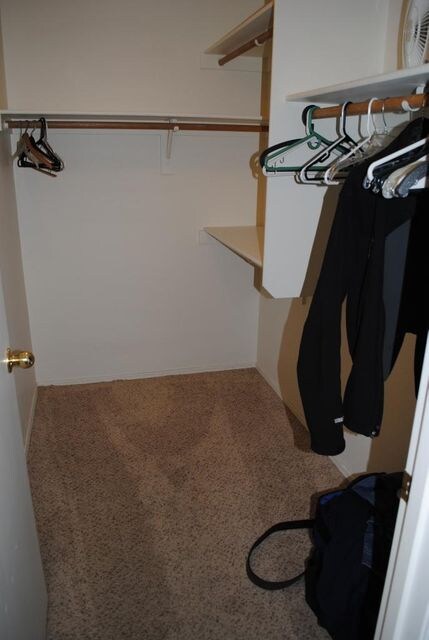 5875 W Venus Way, Chandler, AZ 85226 - photo 6