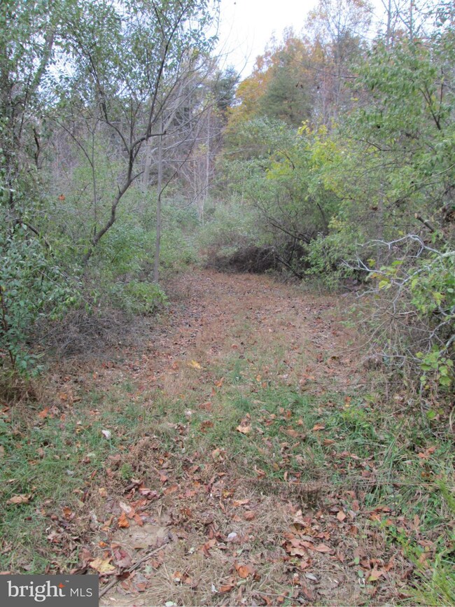 0 Scotts Mill Rd unit 1003248702, Culpeper, VA 22701 - photo 3