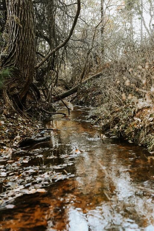 View of  creek