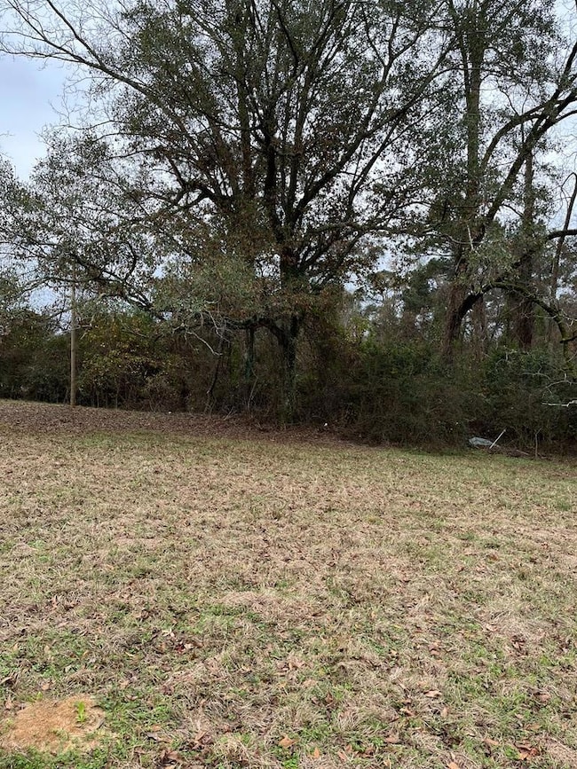 Hwy 87 6628, Troy, AL 36079 - photo 2