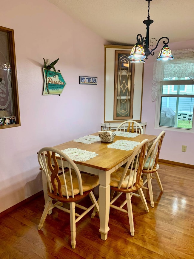 6008 Spring Lake Cir, Zephyrhills, FL 33540 - photo 5