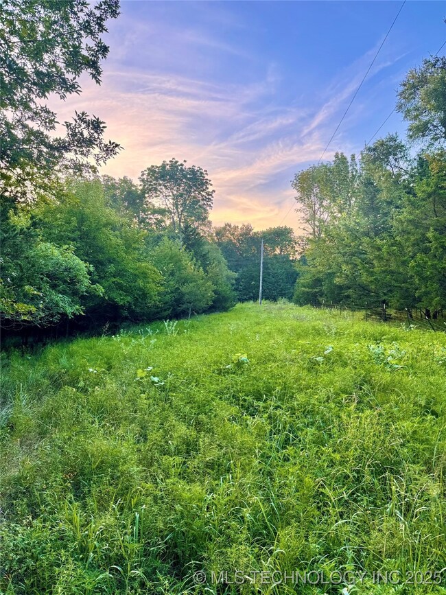 0 Deer Run unit 2532000, Hugo, OK 74756 - photo 5