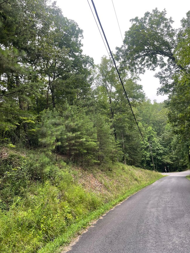 827 Monody Ln, Ranger, GA 30734 - photo 5