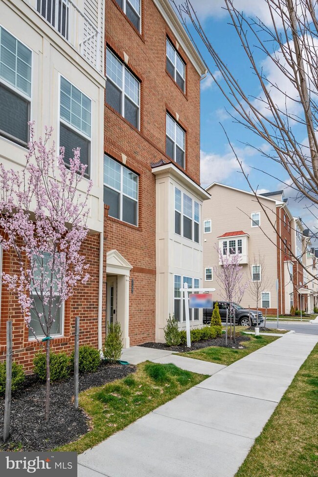 7123 Beaumont Place unit A, Hanover, MD 21076 - photo 4