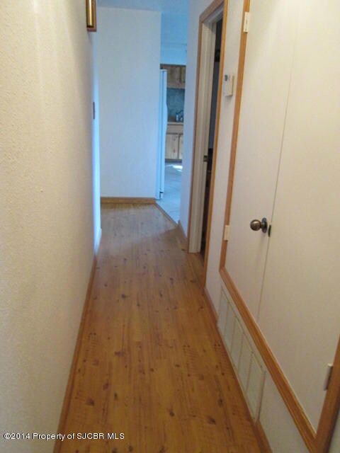 Hall to kitchen