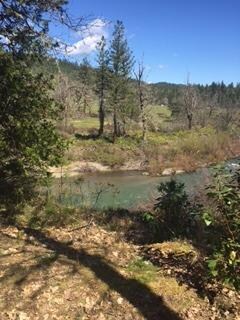 Creek Picture