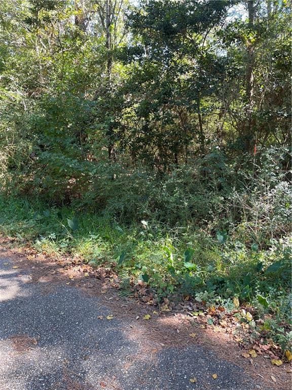 lOTS 6-11 Joel Dr, Slidell, LA 70460 - photo 4