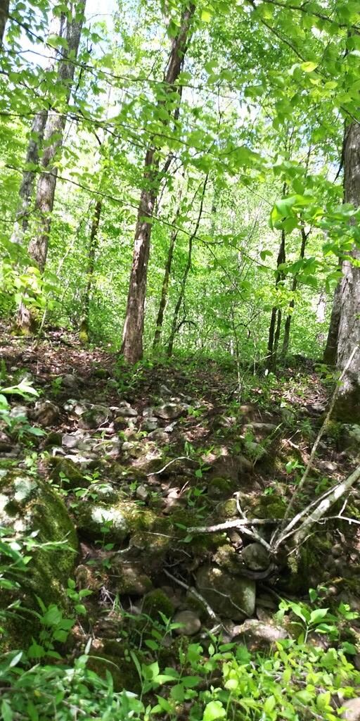 na Parkstown Rd, Wilder, TN 38589 - photo 4