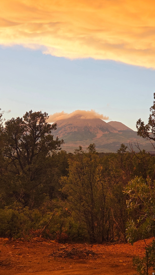 95 Wray Mesa Rd unit 10, La Sal, UT 84530 - photo 2