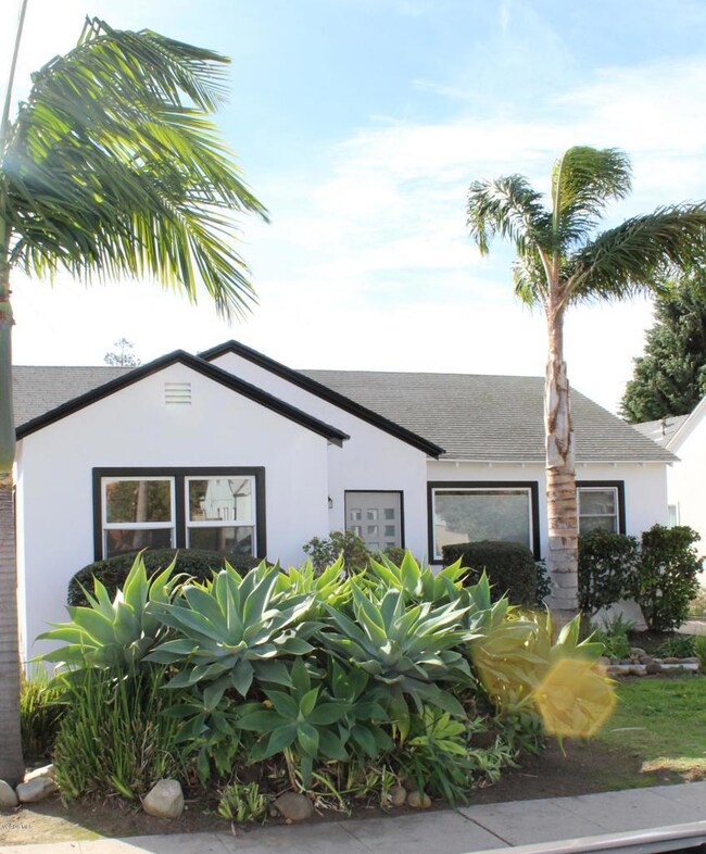 2060 Poli Front View 5