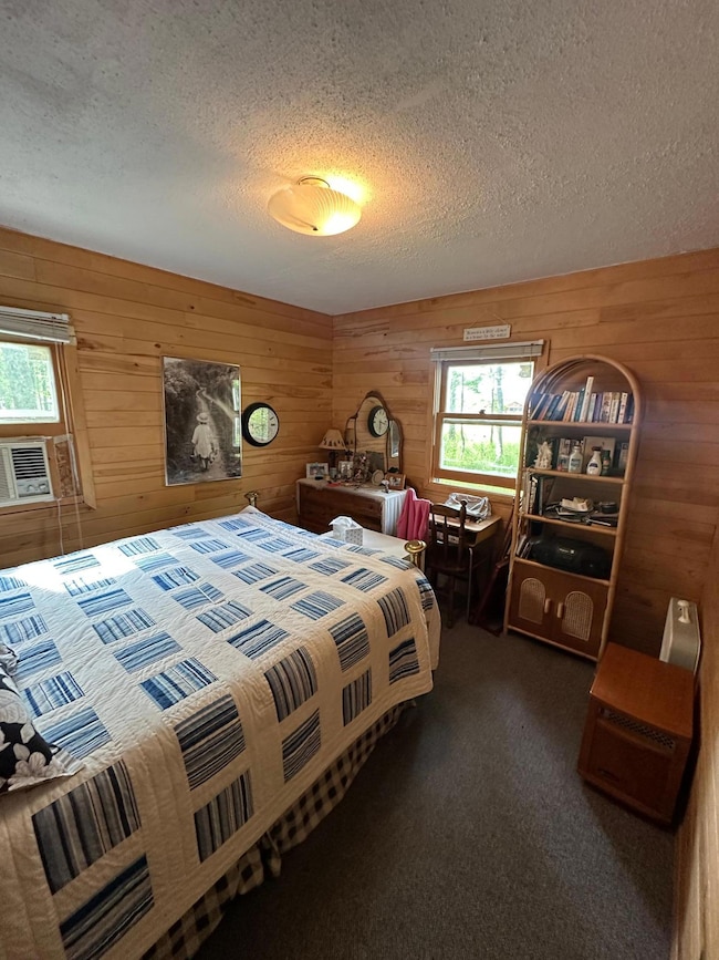 17415 E Pine Dr NW, Angle Inlet, MN 56711 - photo 7