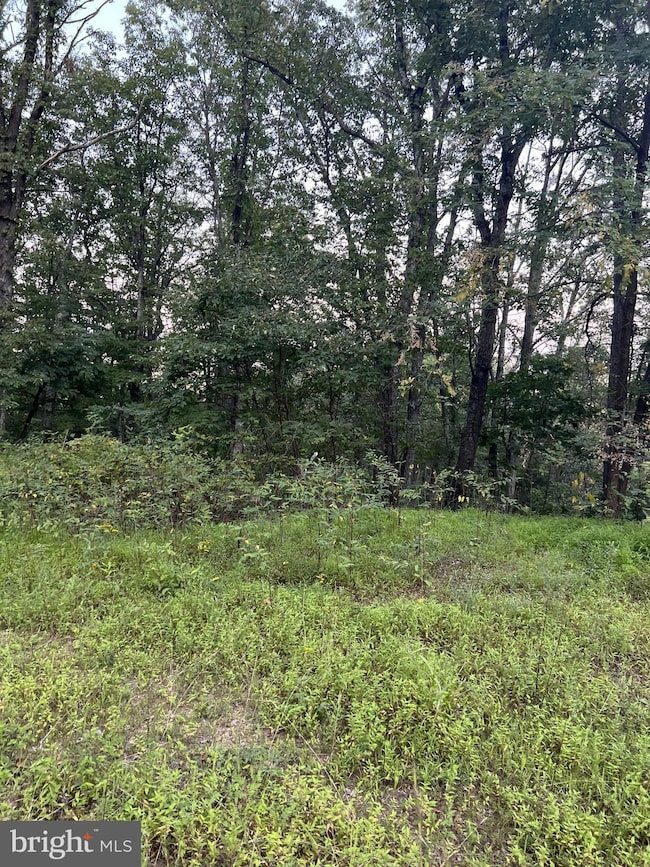 1137 Tomahawk Trail, Winchester, VA 22602 - photo 2