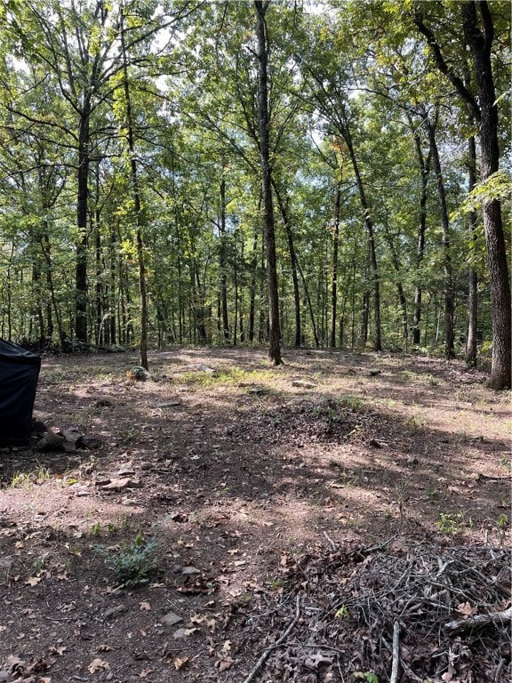 0 Nc 8659 unit 1322740, Jasper, AR 72641 - photo 3