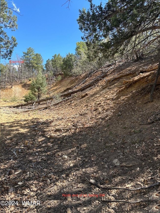 IMG_4634_Facing S-SW from NW corner of l