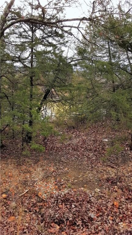 0 Willoughby Lot D Rd unit 1011784, Fayetteville, AR 72701 - photo 4