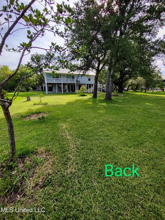back yard