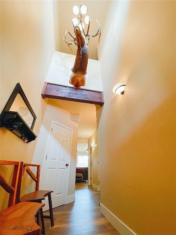 Vaulted Entry