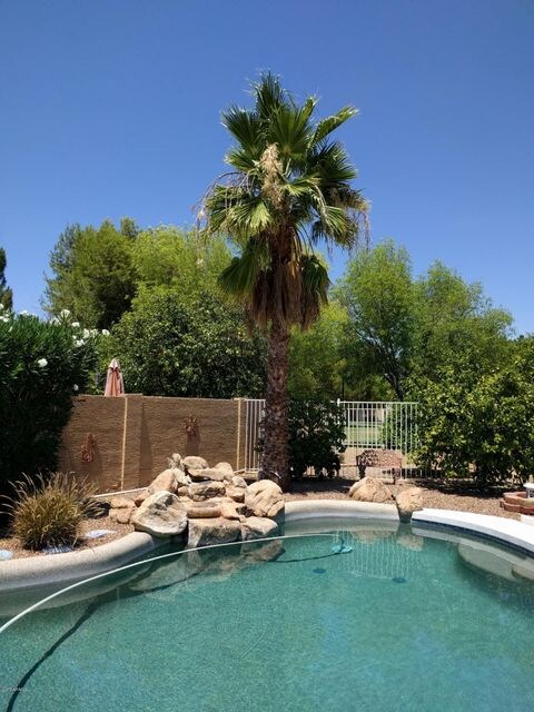Backyard Pool