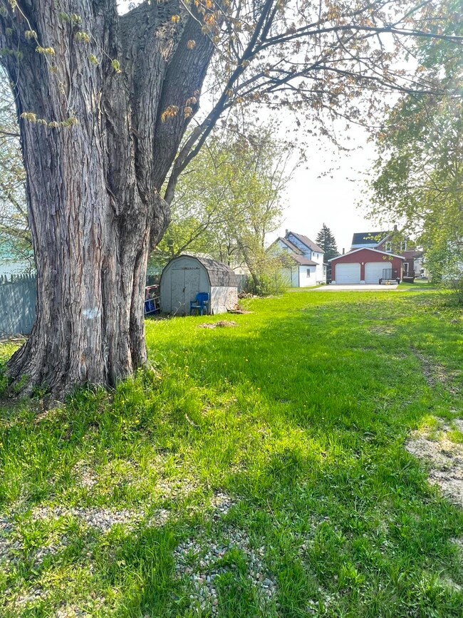 Yard