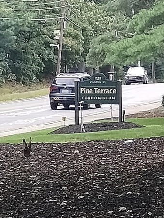 232 Canton St unit 205, Randolph, MA 02368 - photo 2