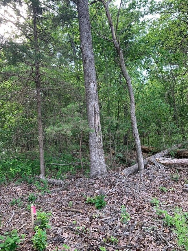 0 Jaybird Rd unit 1184110, Maysville, AR 72747 - photo 4