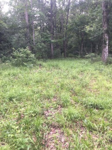 Wildlife Plot
