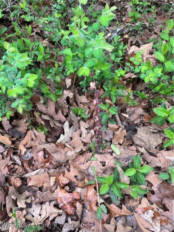 TBD S 4622 Rd, Sallisaw, OK 74955 - photo 2