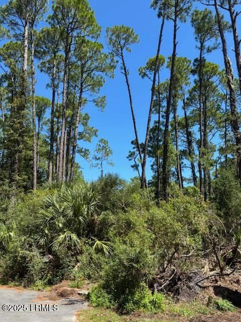21 Lakeview Ln, Saint Helena Island, SC 29920 - photo 2