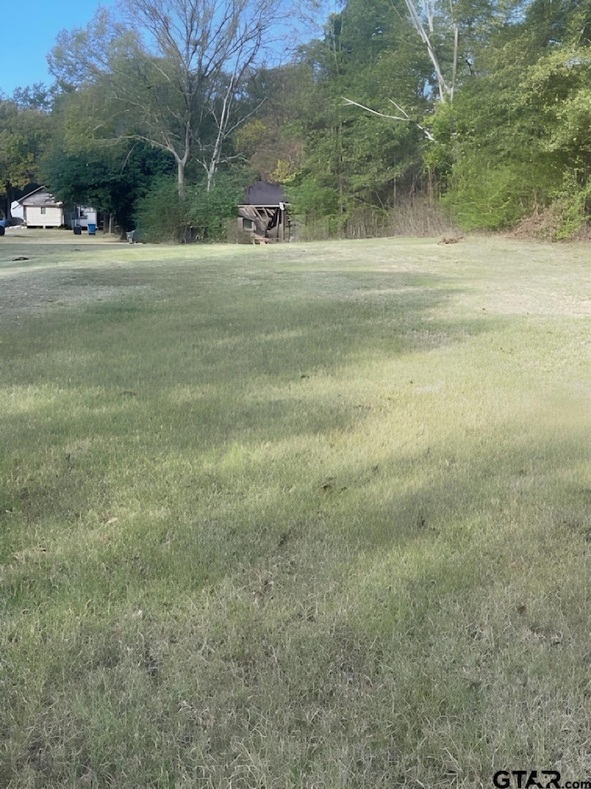 112 N Price St, Troup, TX 75789 - photo 3