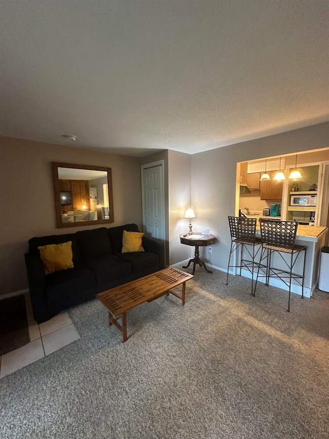 Sleeper Sofa in Livingroom
