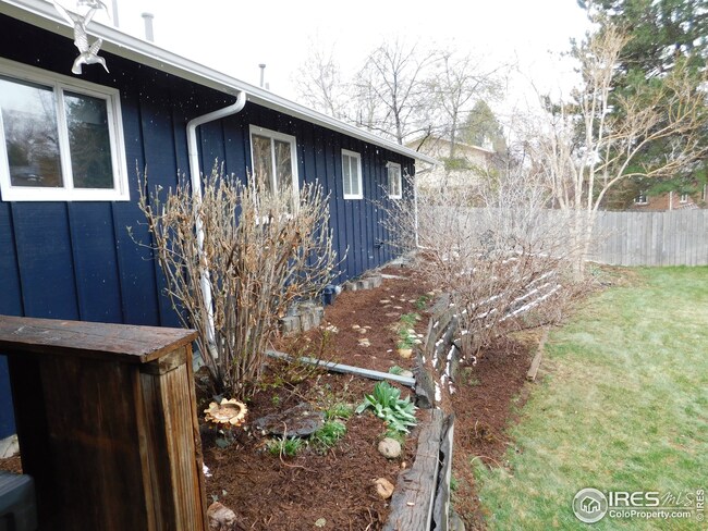 Plant your flowers here