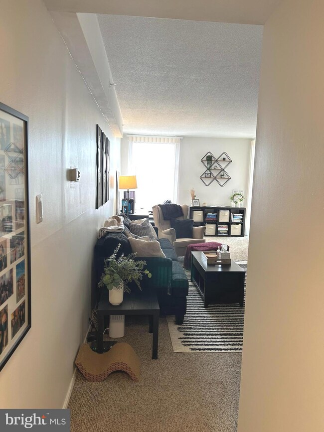 28 Allegheny Ave unit 1112, Towson, MD 21204 - photo 5