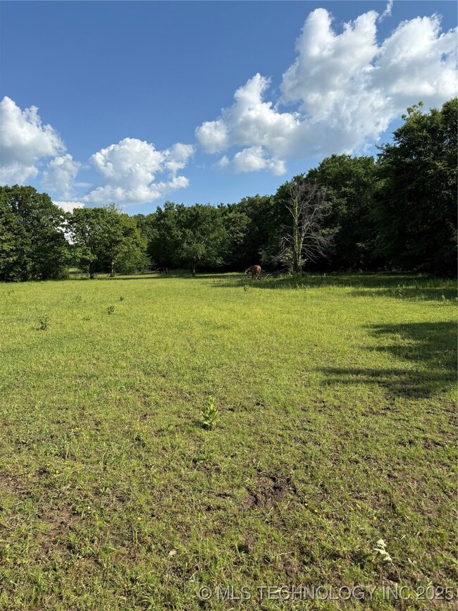 View of tree filled area with a rural view