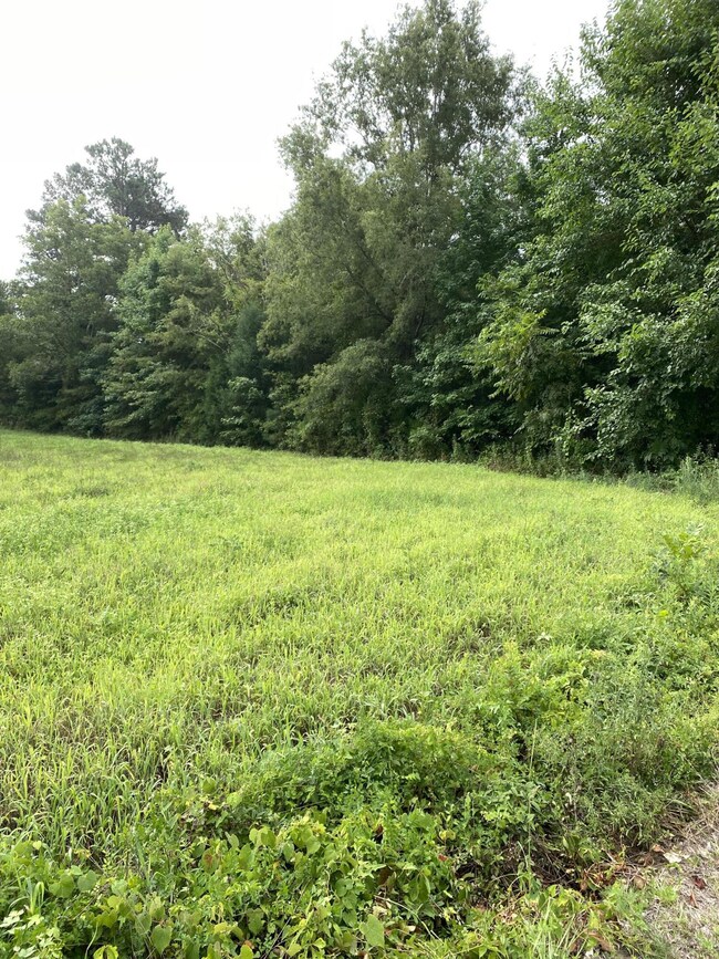 1760 Old Highway 6, Cross, SC 29436 - photo 2