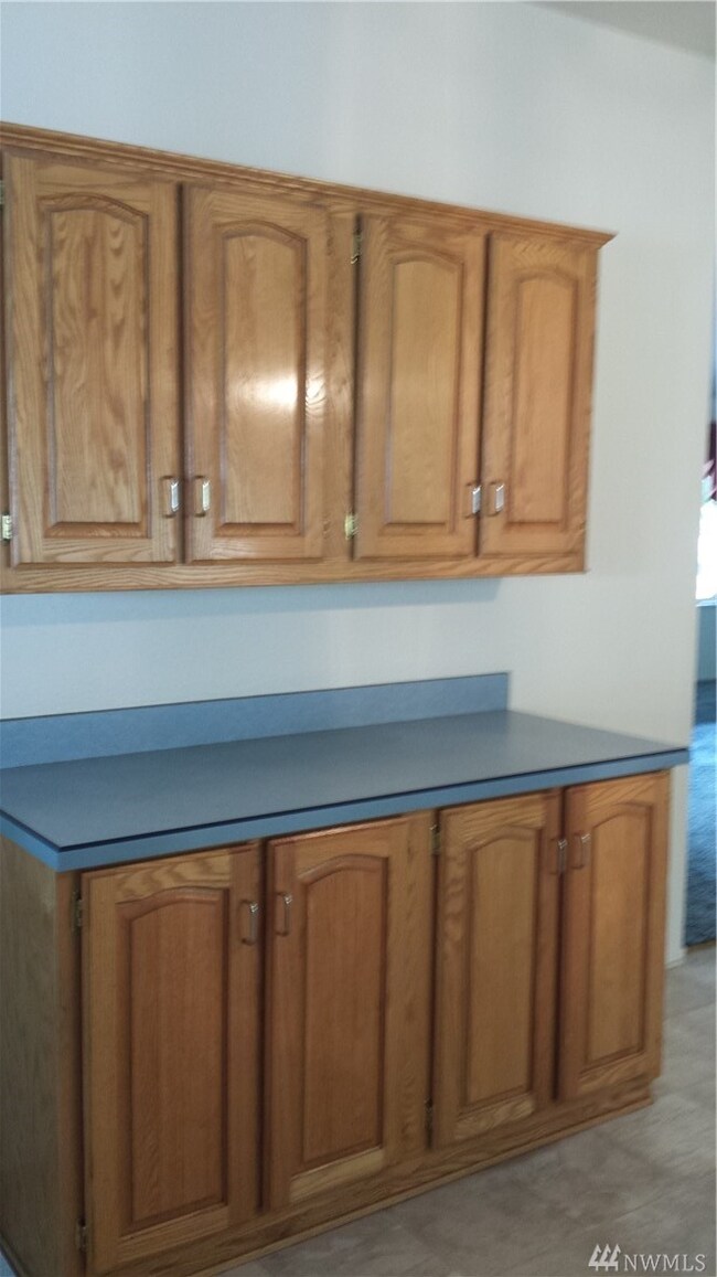 15815 Agate St SE, Yelm, WA 98597 - photo 4