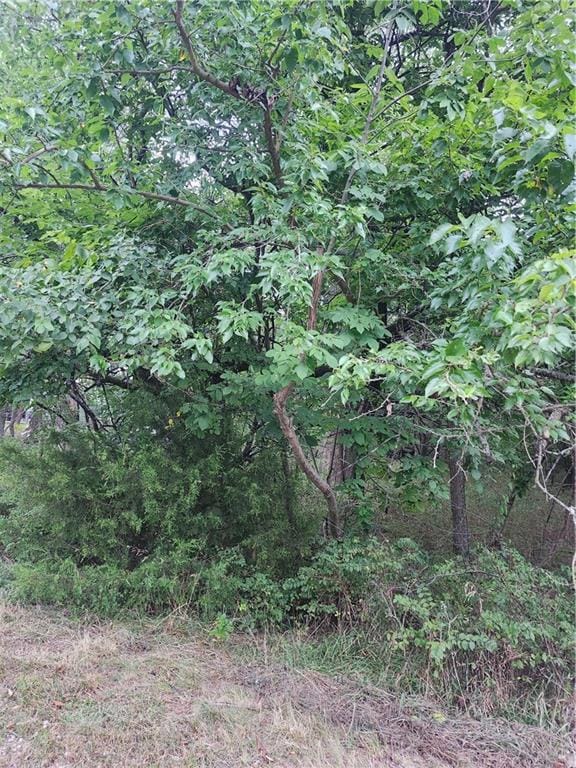 2 & 6 Shady Ln, Linn Valley, KS 66040 - photo 3