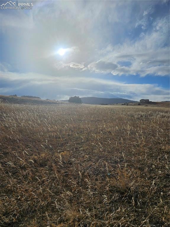 View of local wilderness with a rural view