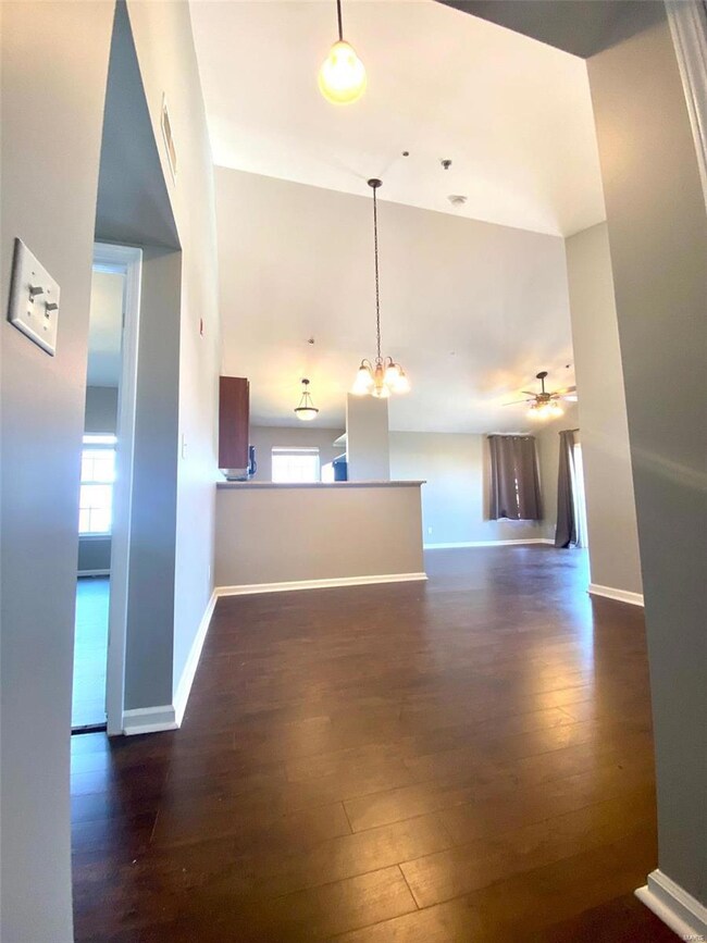 6300 Spring Creek Ln unit 3A, O Fallon, MO 63368 - photo 4