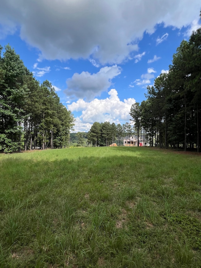 Lot 81 Crockett Loop, Jasper, TN 37347 - photo 5