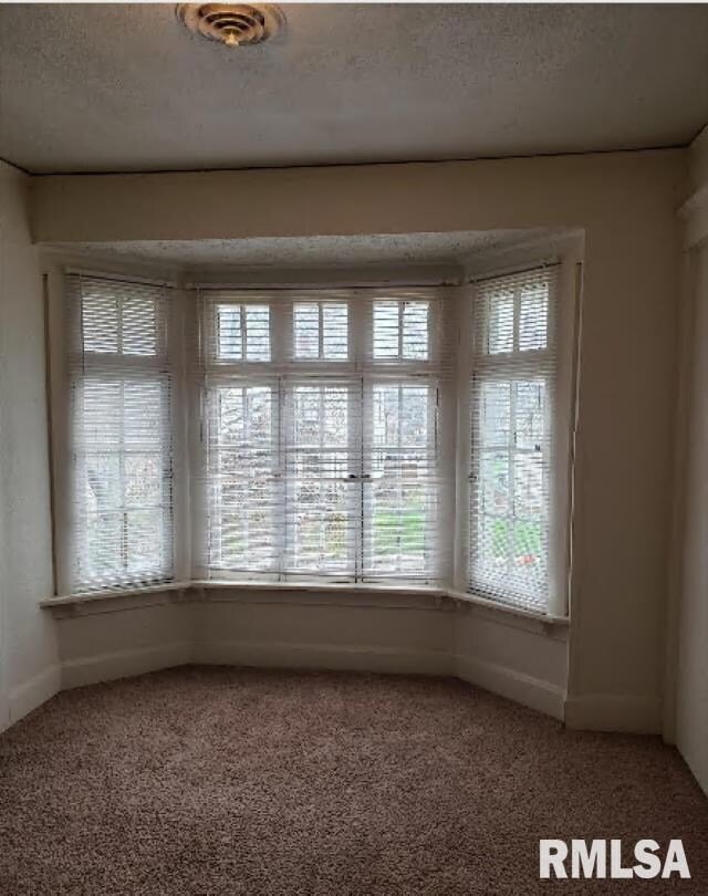 918 E Locust St unit 2, Davenport, IA 52803 - photo 7