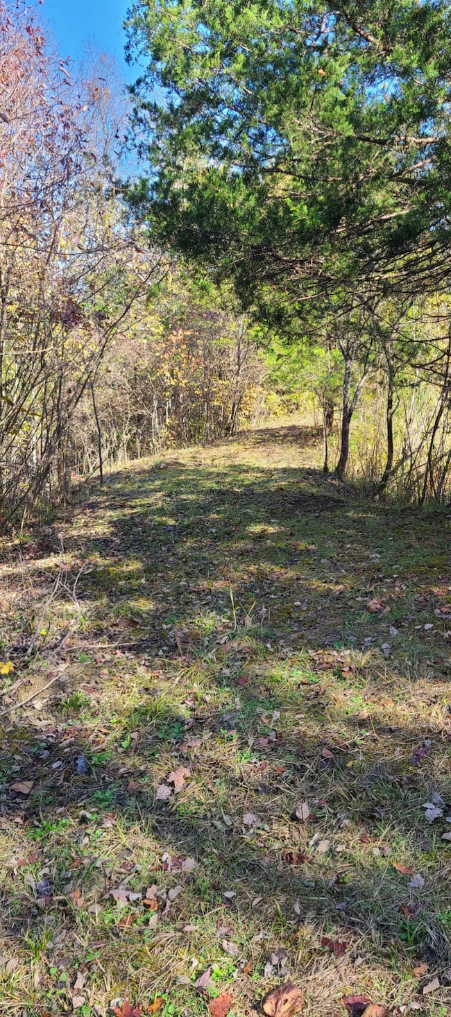 20.3 Lawrenceville Rd, Williamstown, KY 41097 - photo 5