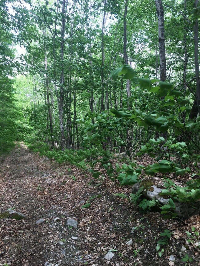 M12L79 Sugar Hill Rd, Harmony, ME 04942 - photo 4