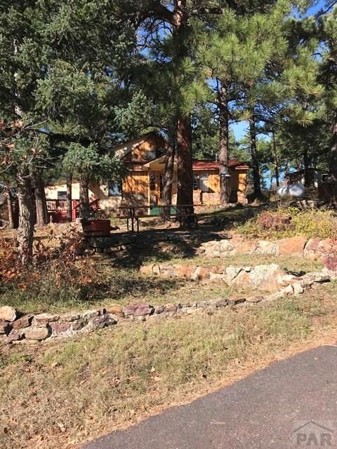 House in trees