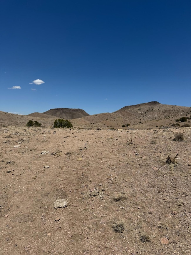Lot 18 Willow Springs Ranch, San Antonio, NM 87832 - photo 2
